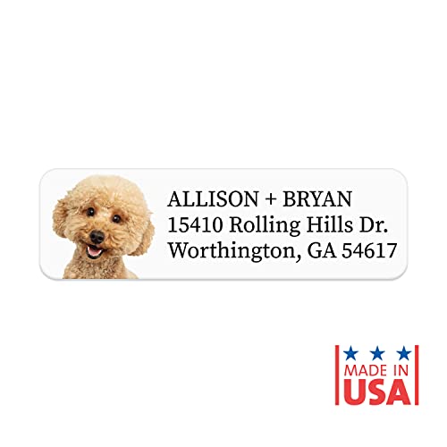Alternating Dogs Rolled Address Labels / 250 Personalized Return Address Labels/Designer Address Stickers in Elegant Plastic Dispenser - size: 250 Labels, style: Dog Portraits