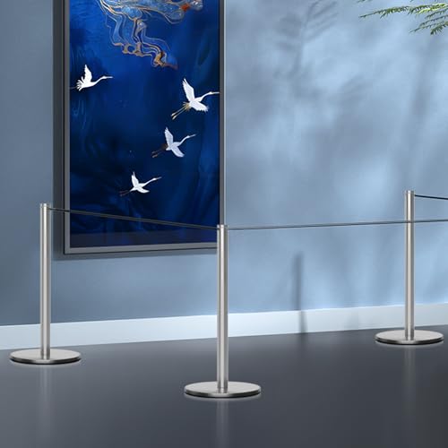 kaiyomi 4Pcs Museum Short Stanchions 50 Feet Crowd Control Barrier (Silver) - color: Silver