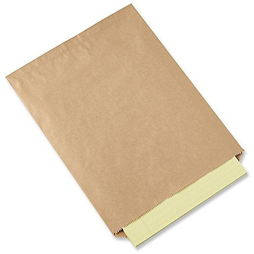 Natural Kraft Merchandise Bags, 5x7-1/2, No Gusset (200) A1 Bakery Supplies