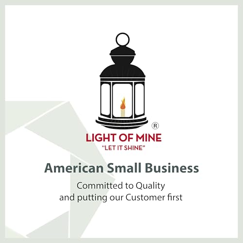 Light of Mine - Dietz #30 Little Wizard Black Oil Lantern Bundle Including 6-Pack of 100% Cotton 5/8" Replacement Wick Strips (#30, BLK) - color: Black