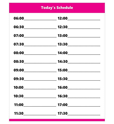 Dry Erase Hourly Schedule Magnet (24 Hour Clock) by DCM Solutions (Pink, 8.5" W x 10.5" H) - color: Pink