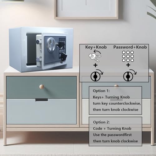 Yuanshikj Small Steel Security Safe Box with Keypad,Key;0.23 Cu Ft, White - color: WHITE SILVER