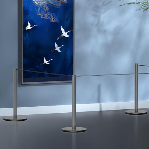 kaiyomi 4Pcs Museum Short Stanchions 50 Feet Barriers (Titanium Black) - color: Titanium Black