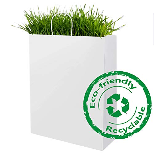 BagDream Large Paper Bags with Handles 13x7x17 Inch White 50 Pack Bulk - color: White