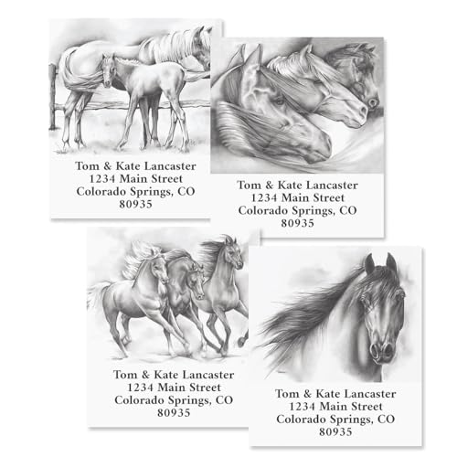 Black and White Horse Square Return Address Labels (4 Designs) - Set of 144 1-1/8" x 2-1/4" Self-Adhesive, Flat-Sheet Label - style: Black & White