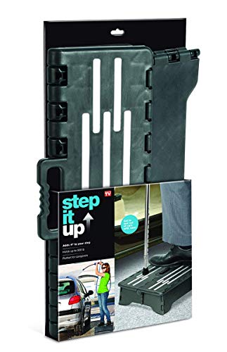 Portable Folding Step, Black, 1 Count
