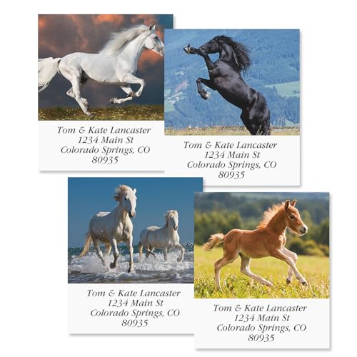 Love Horses Square Return Address Labels (6 Designs) - Set of 144 1-1/8" x 2-1/4" Self-Adhesive, Flat-Sheet Label - style: Love Horses