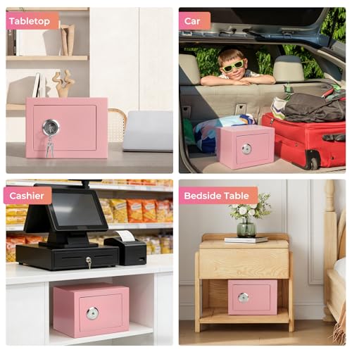 Small Safe Box with Lock, Heavy Duty Steel Lock Box for Home Cash Money Jewelry, Mini Security Safe for Documents and Valuables, Small Lock Box 9.06"x6.69"x6.69",Pink - color: Pink