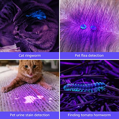 Lepro 365nm UV Flashlight, Small Portable Black Light Detector for Invisible Ink Pens, Dog Cat Pet Urine Stain, AAA Batteries Included - color: Green