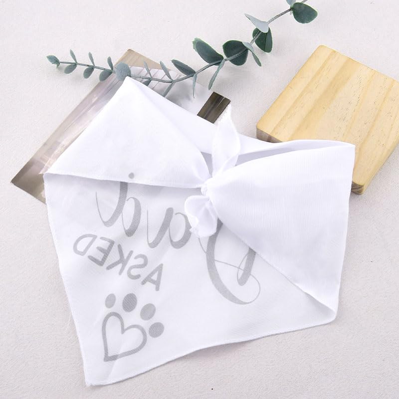 Dog Engagement Necktie for Meddium Large Puppy Dogs Necktie for Wedding Bridal Shower Gift for Dog Owner - color: Black