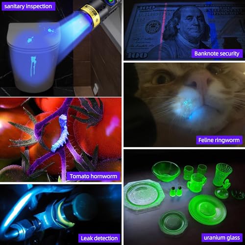 DARKDAWN UV Flashlight 365nm Blacklight ,LED Mini USB-C Rechargeable