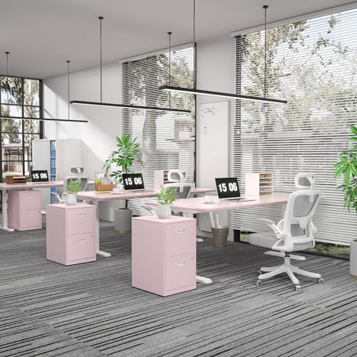 SteeLoong 2 Drawer File Cabinets,Metal Office File Cabinet with Lock,Pink - color: Pink, style: 2 Drawer Light Duty