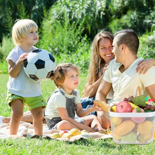 Roshtia 6 Pcs Metal Mesh Basket with Handle, Fall Farmhouse Garden Basket - color: White, size: 9.65 x 9.65 x 7.09 Inch