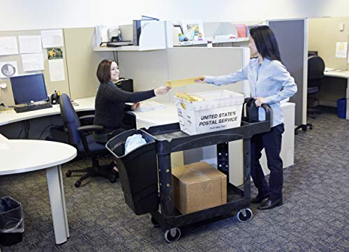 Rubbermaid Commercial Products 2-Shelf Utility/Service Cart, Small, Lipped Shelves, Ergonomic Handle, 500 lbs. Capacity, for Warehouse/Garage/Cleaning/Manufacturing - color: Black, size: Small, style: 2-Shelf