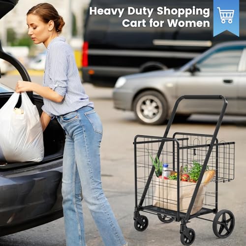 Folding Shopping Cart with Waterproof Bag, Double Basket Grocery Cart - size: Large