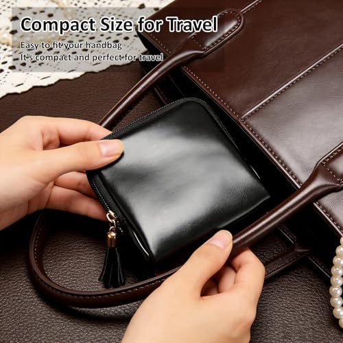 shunmei Mini Zipper Travel Jewelry Case with 5 Individual Pockets, Black - color: Black