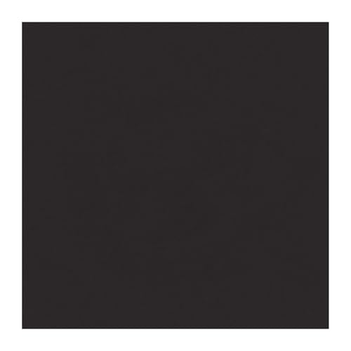 Beistle Black Tissue Paper Sheets – 96 Pack, Bulk Square Craft Tissue, Gift Wrapping for Bags, Boxes, DIY Crafts, Packaging Filler for Retail Displays, Shipping, Parties & Decorative Use, 20” x 20”