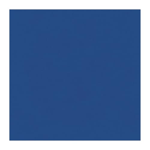Beistle Bright Blue Tissue Paper Sheets – 96 Pack, Bulk Square Craft Tissue, Gift Wrapping for Bags, Boxes, Crafts, Packaging Filler for Retail Displays, Shipping, Parties & Decorative Use, 20” x 20”