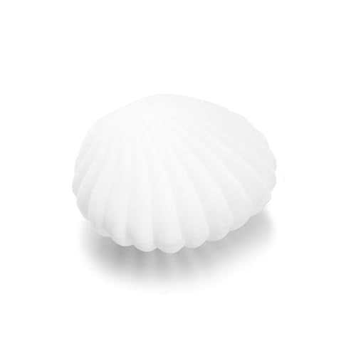 AKOAK 1 Pack Shell Jewelry Box, for Earrings, Necklaces, Bracelets, Jewelry Display Gift Box Holder (White) - color: white