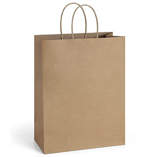 BagDream Kraft Paper Bags with Handles 10x5x13 Inch Brown 25 Pack - color: Brown, size: 25 Count (Pack of 1)