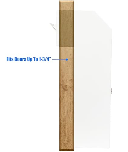 Through-the-Door Mailbox with Key Lock & Rear Access - color: White, size: Large