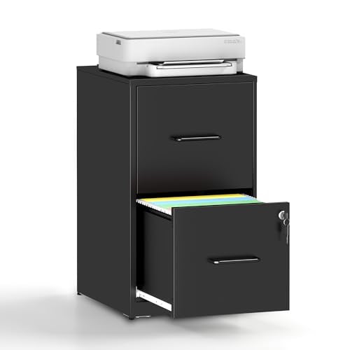 2 Drawer File Cabinet,Vertical Filing Cabinets for Home Office,Metal Steel Storage Cabinet for Letter/Legal Size File,Assembly Required(Black) - size: 2 Drawer-Small