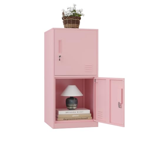2 Door Metal Vertical Storage Locker for Kids Bedroom, Children Room, School, Office, Home,Stackable Steel Storage Cabinet for Toys, Sports Equipment,Anti-Tilting Device. (2D, Pink) - color: Pink, style: 2D