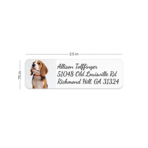 Custom Image Upload Elegant Rolled Address Labels / 500 Personalized Return Address Labels/Designer Address Stickers in Elegant Plastic Dispenser - size: 500 Labels, style: Script