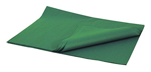 Brand New Tissue Paper Pack 48 Sheets 20 Inch x 30 Inch Festive Green - color: Festive Green