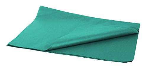Brand New Tissue Paper Pack, 48 Sheets, 20" x 30", Teal - color: Teal