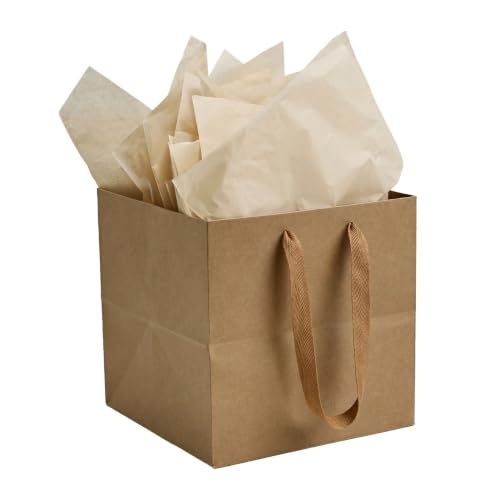 Papertide 24 Pack 8x8x8 inch Brown Square Gift Bags with Tissue Ppaper - color: Brown