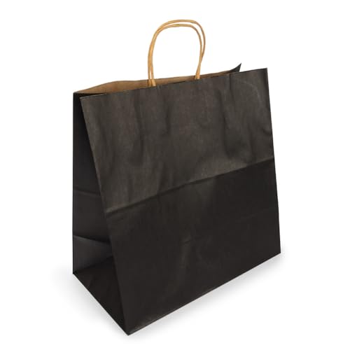 ClearBags Paper Merchandise Handle Bags (Black, 12 1/2 x 7 x 13) - color: Black, size: 12 1/2 x 7 x 13