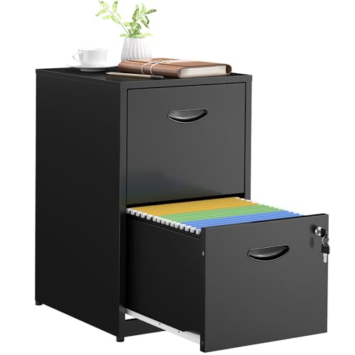 SteeLoong 2 Drawer File Cabinets,Metal Office File Cabinet with Lock,Black - color: Black, style: 2 Drawer Light Duty