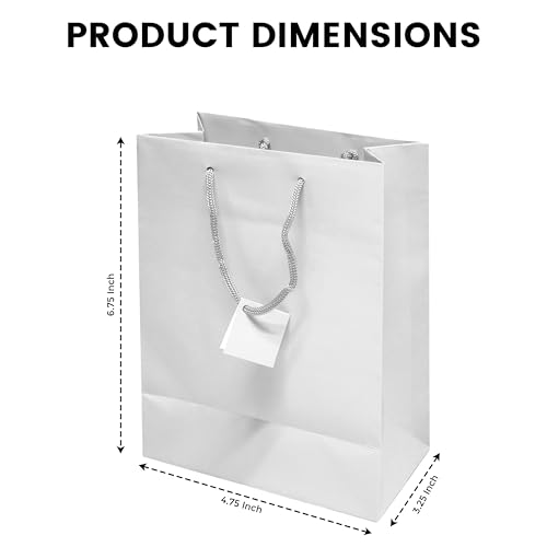 Novel Box White Gift Bags with Handles 10 Pack 4.75x3.25x6.75 Inches - color: White, size: Small