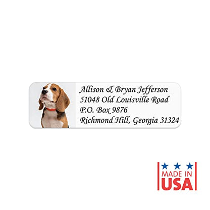 Custom Image Upload Italic Rolled Address Labels / 500 Personalized Return Address Labels/Designer Address Stickers in Elegant Plastic Dispenser - size: 500 Labels, style: Italic