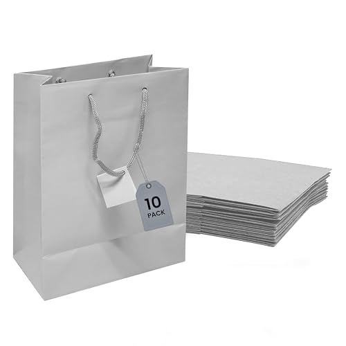 Novel Box Silver Gift Bags with Handles 10 Pack 6.5x3.5x6.5 Inches - color: Silver, size: Medium