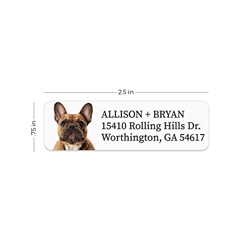 Alternating Dogs Rolled Address Labels / 500 Personalized Return Address Labels/Designer Address Stickers in Elegant Plastic Dispenser - size: 500 Labels, style: Dog Portraits