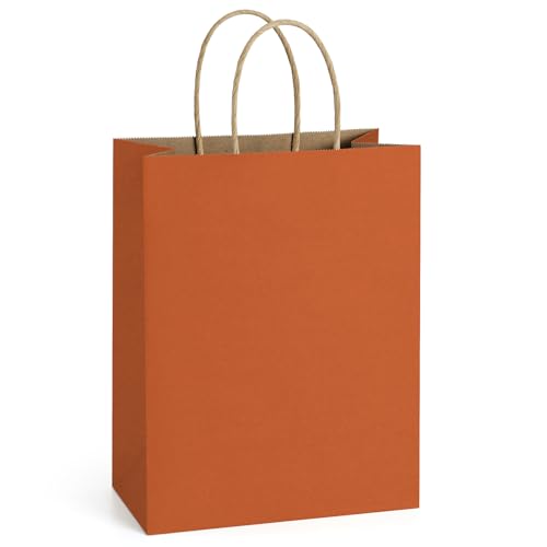 BagDream Medium Gift Bags with Handles 8x4.25x10.5 Inch Orange 100 Pcs Bulk - color: Orange