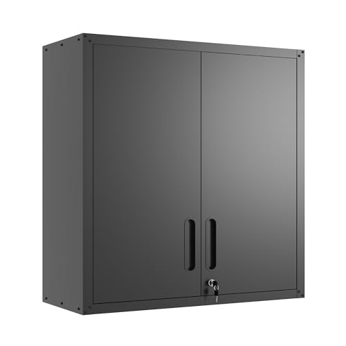 Wall Mounted Metal Storage Cabinet, Garage Hanging Tool Cabinet - color: Black, size: S - 2 Doors (Wall)