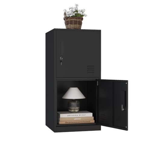 2 Door Metal Vertical Storage Locker for Home Office, School, Office, Home,Gym,Stackable Steel Storage Cabinet for File, Sports Equipment,Anti-Falling Device. (2D, Black) - color: Black, style: 2D