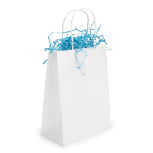 ClearBags White Paper Merchandise Handle Bags 90 Percent Recycled Content Twisted Paper Handles Bottom Gusset 7 1/16 x 3 9/16 x 9 1/16 Inches 100 GSM Kraft Paper 50 Pack GMB4W - color: White, size: 1 Count (Pack of 50)