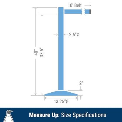 Commercial-Grade Stanchion 2-Pack by Visiontron – RETRACTA-Belt Prime (Model P100PS1) 10’ Retractable Belt Barrier - Heavy Base Crowd Control Barrier (Polished Stainless Steel w/Blue Belt) - color: Polished Stainless Steel Post w/ Blue Belt