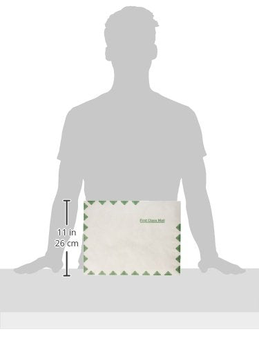 Quality Park R1590 Survivor Tyvek USPS First Class Mailer, 10 x 13, White, Pack of 500 - size: 10 x 13 (Pack of 5)