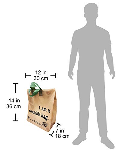 Reli. Shopping Bags, Reusable (250 Count Bulk; 2.25 mil Thick)