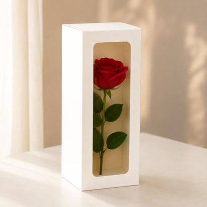 10pcs Paper Viewing Window Wine Glass Packaging Gift Box White Cardboard Present Container Retail Merchandise Carrier