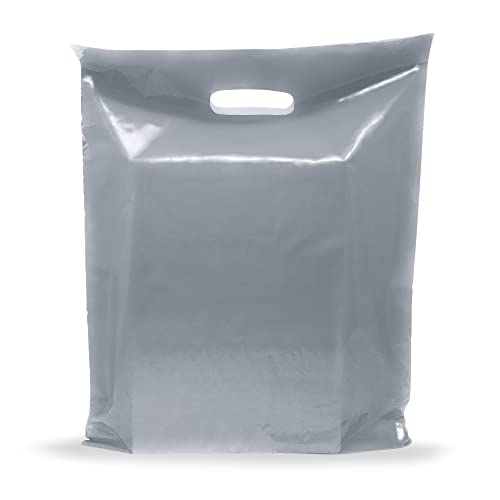 12x15 Silver Plastic Bags, Medium, Glossy Finish, 2 Mil Thick, 100 Pack