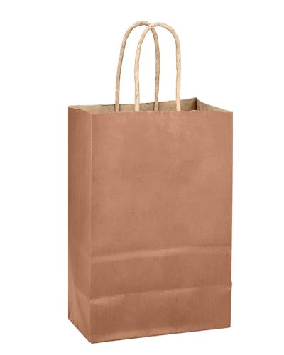 qiqee Apricot Gift Bag with Handles Bulk 24Pcs Paper Bags -10.6"x8.3"x4.3"Party Favor Bags - Solid Color - color: Apricot Orange