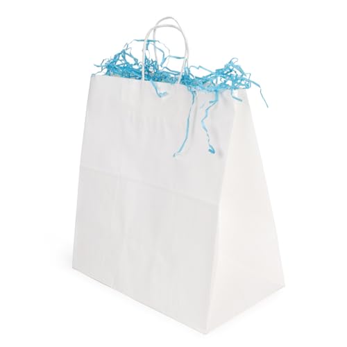 ClearBags Paper Merchandise Handle Bags (White, 12 1/2 x 7 x 13) - color: White, size: 12 1/2 x 7 x 13