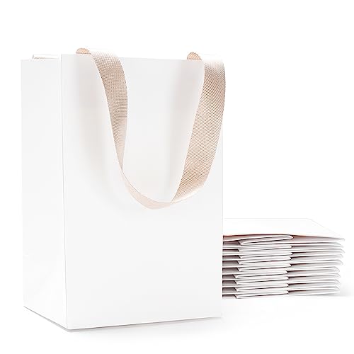 White Gift Bags with Handles 10Pcs 5.25"x3.75"x8" Small - color: White, size: 5.25x3.75x8 Inch (Pack of 10)