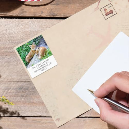 North American Wildlife Square Return Address Labels (12 Designs) - Set of 144 1-1/8" x 2-1/4" Self-Adhesive, Flat-Sheet Label - style: Wildlife Square